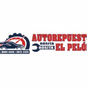 Autorepuesto el Pelon